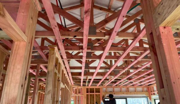 Homeowner reviewing construction after frame completion stage